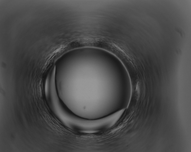 X0000090881348200708031022