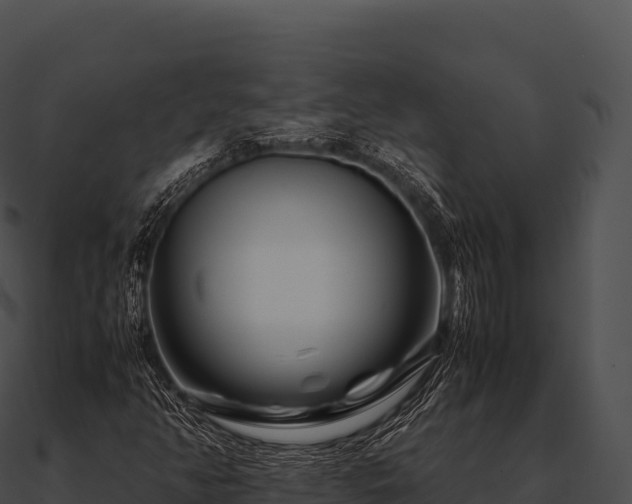 X0000090881350200708031022