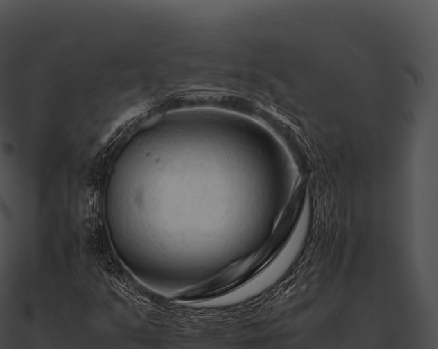 X0000090881351200708031022