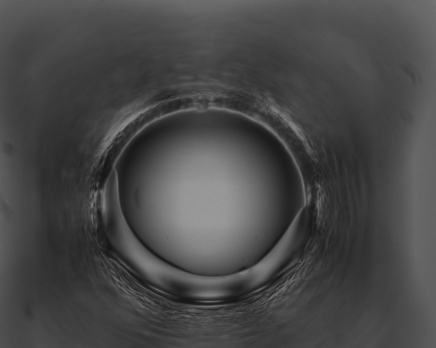 X0000090881352200708031022