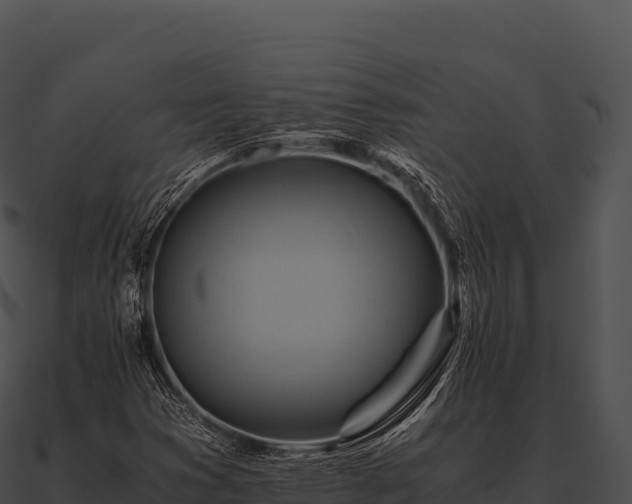 X0000090881353200708031022