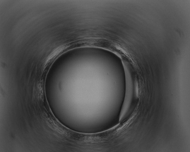 X0000090881354200708031022