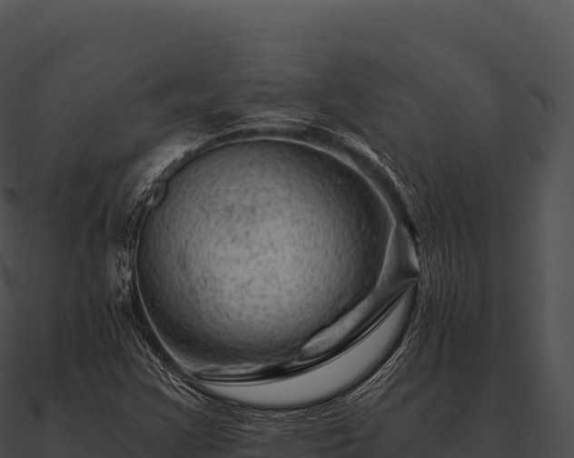 X0000090881355200708031022