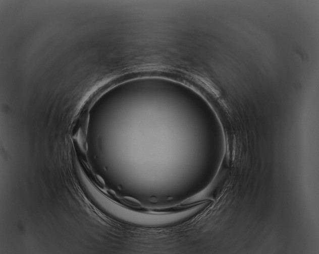 X0000090881356200708031022