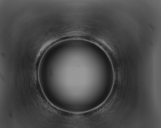 X0000090881358200708031022