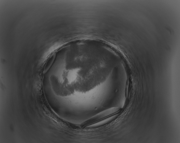 X0000090881359200708031022