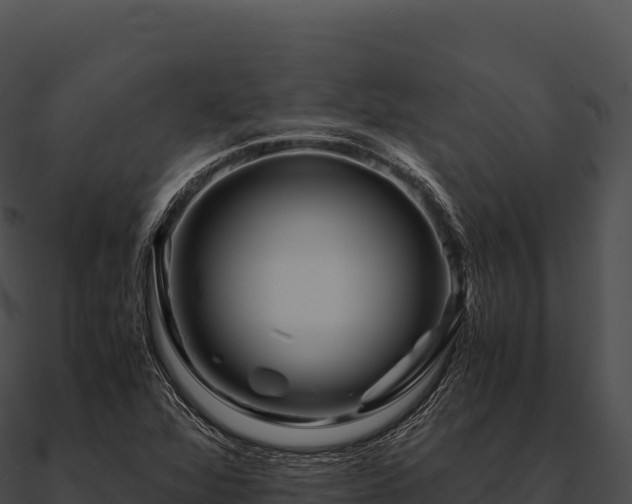 X0000090881360200708031022