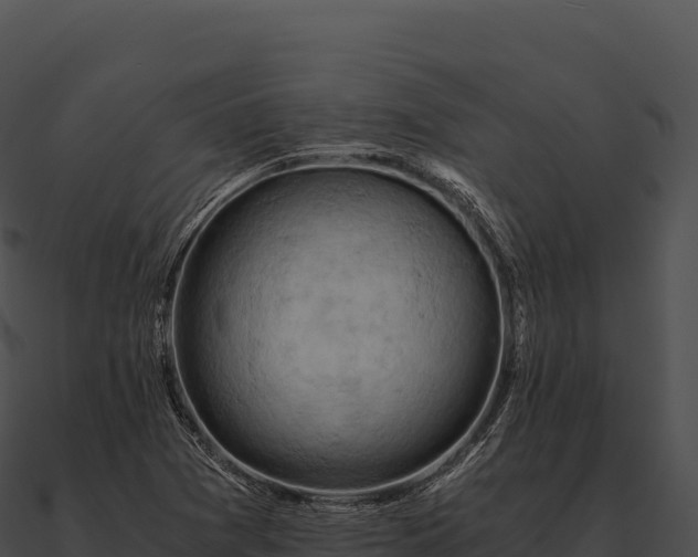 X0000090881361200708031022