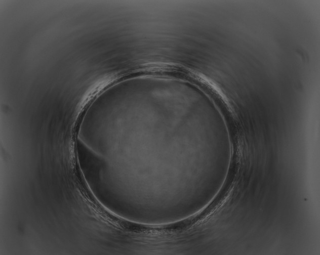 X0000090881362200708031022