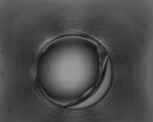 X0000090881363200708031022