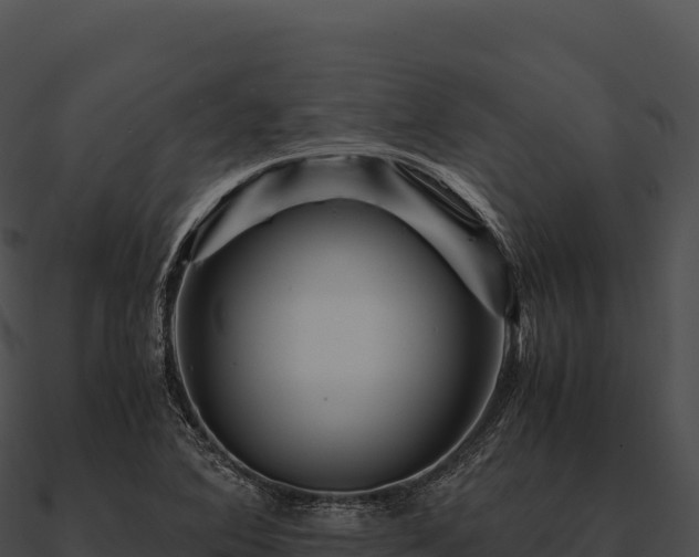 X0000090881364200708031022