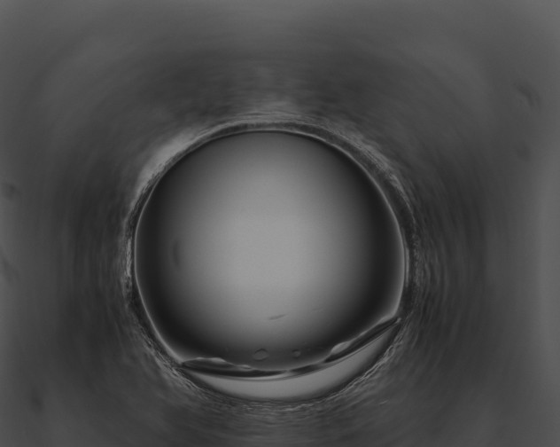 X0000090881366200708031022