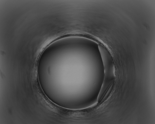 X0000090881367200708031022