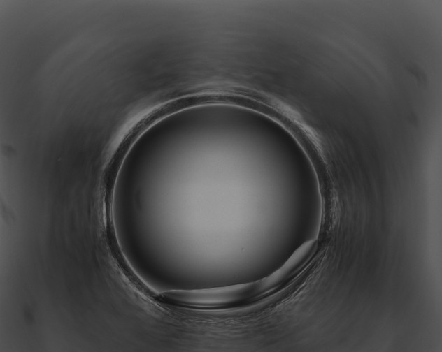 X0000090881368200708031022