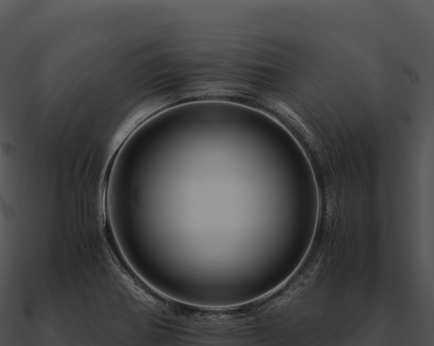 X0000090881370200708031022