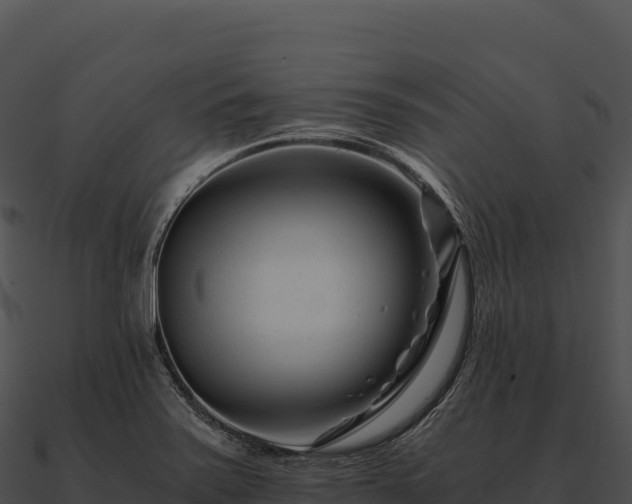 X0000090881371200708031022