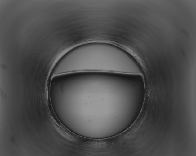 X0000090881372200708031022