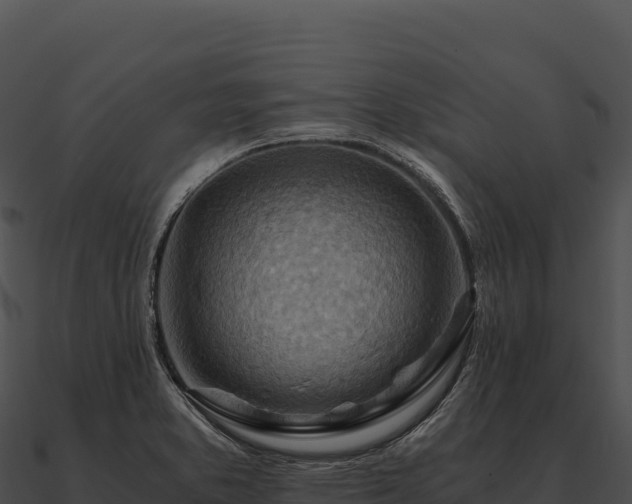X0000090881373200708031022