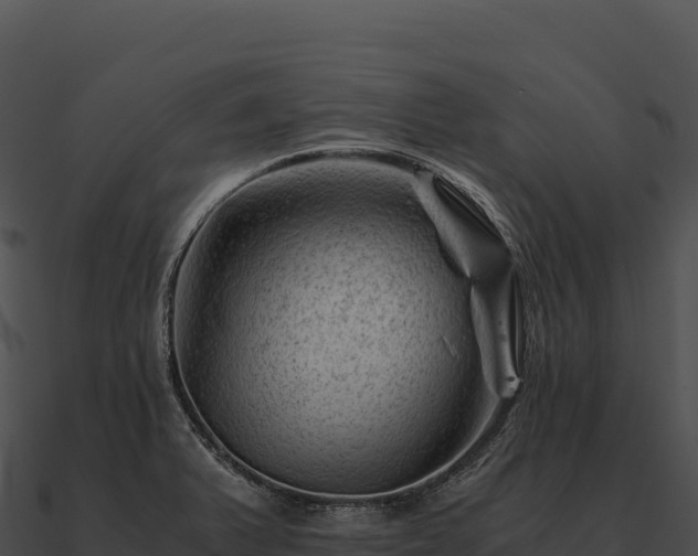 X0000090881375200708031022