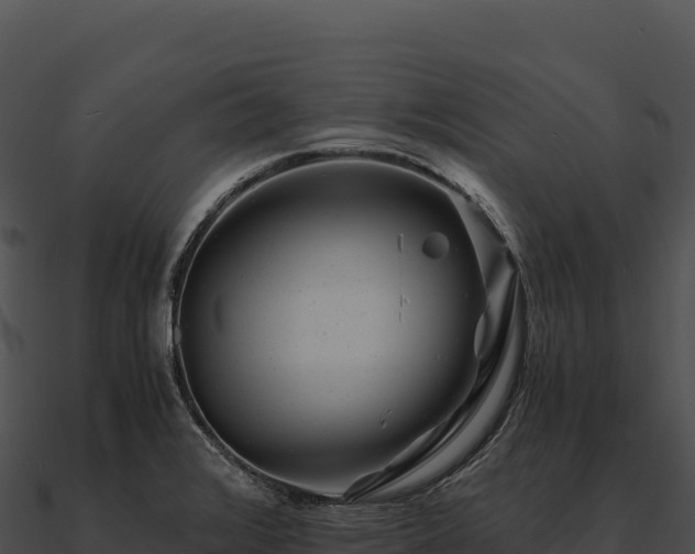 X0000090881376200708031022