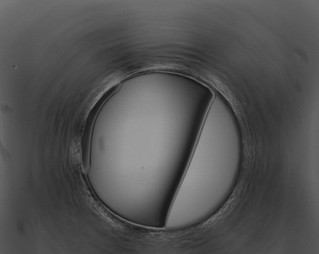 X0000090881377200708031022