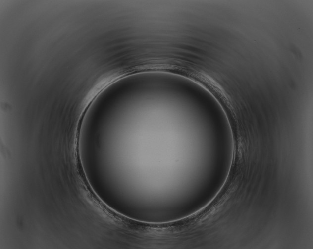 X0000090881378200708031022