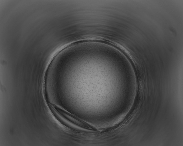 X0000090881379200708031022