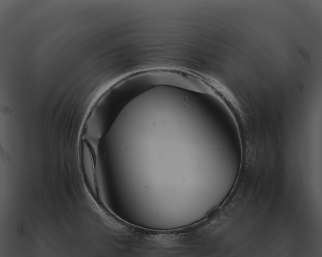 X0000090881380200708031022