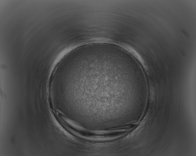 X0000090881381200708031022