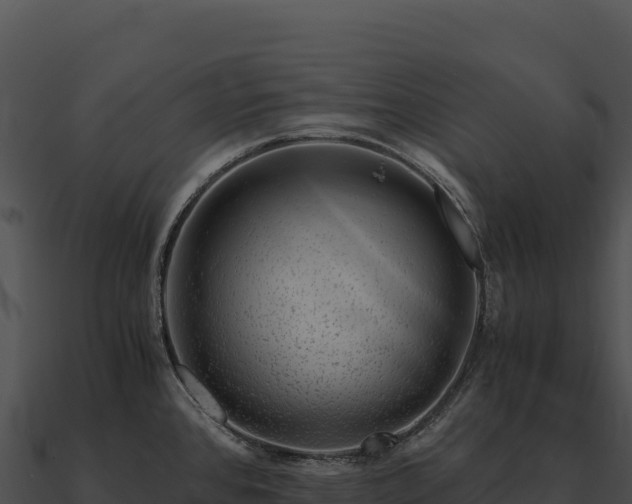 X0000090881384200708031021