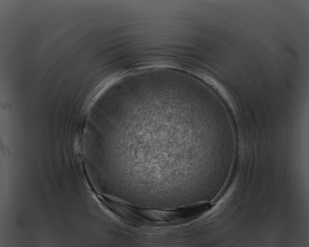 X0000090881385200708031021