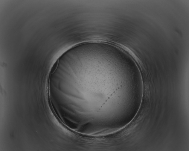 X0000090881387200708031021