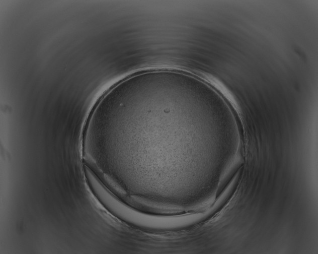 X0000090881388200708031021