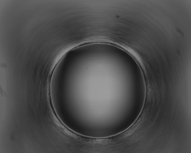 X0000090881390200708031021