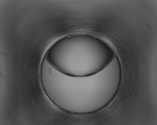 X0000090881392200708031021
