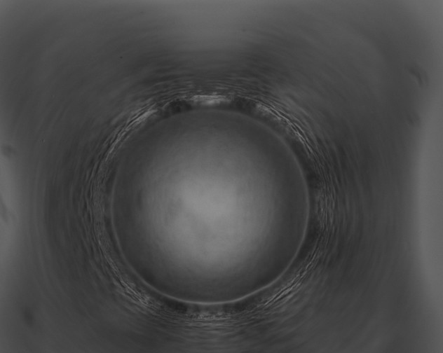 X0000090881393200708031021