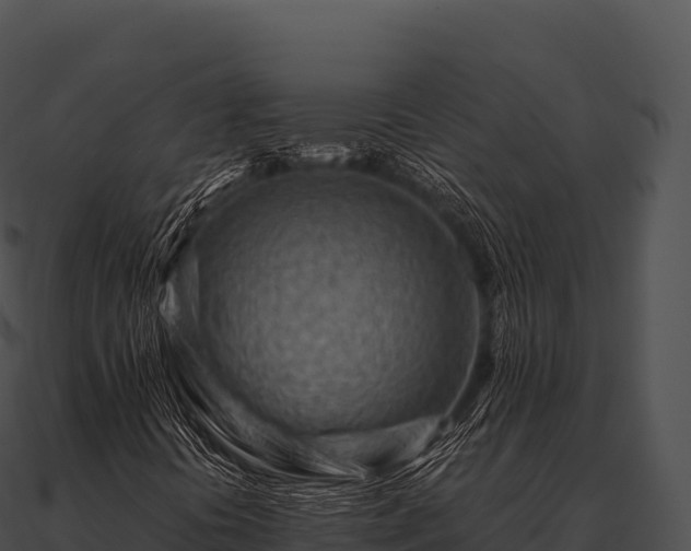 X0000090881394200708031021