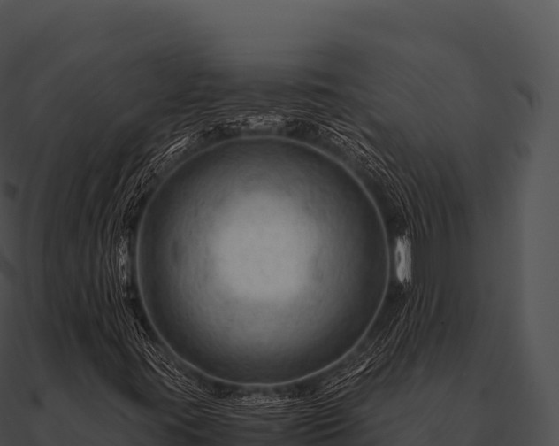X0000090881395200708031021