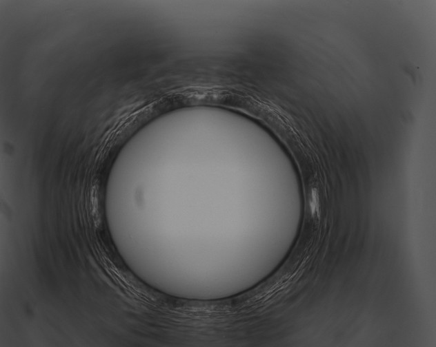 X0000090881396200708031021