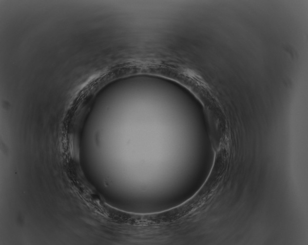 X0000090881398200708031021