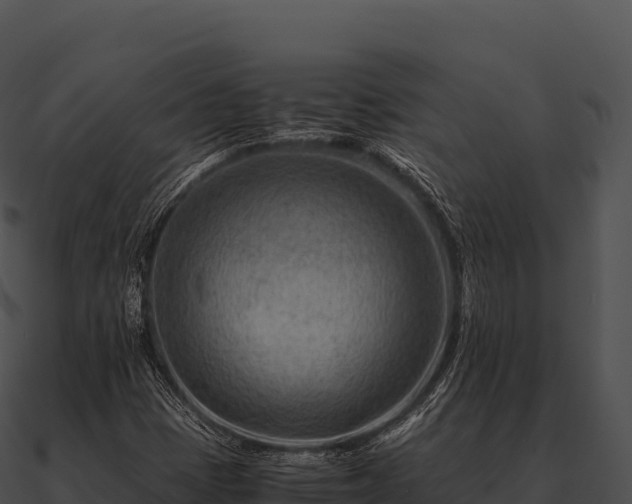 X0000090881401200708031021