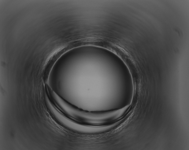 X0000090881402200708031021