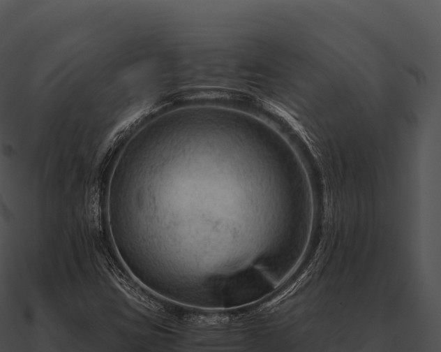 X0000090881403200708031021