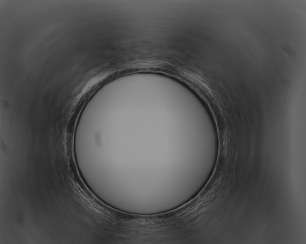 X0000090881404200708031021