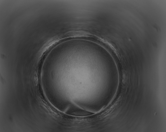 X0000090881407200708031021