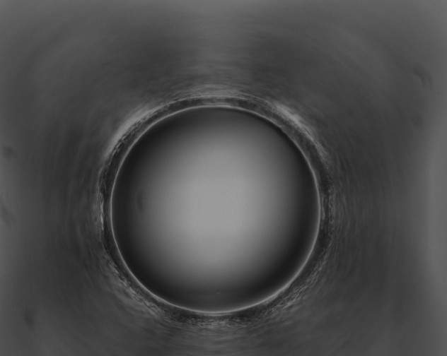 X0000090881408200708031021