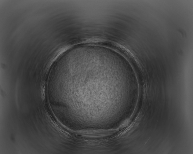 X0000090881409200708031021