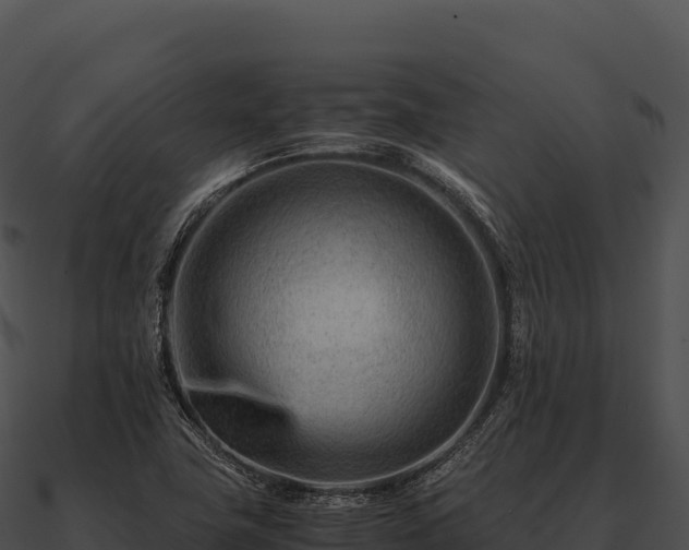 X0000090881411200708031021