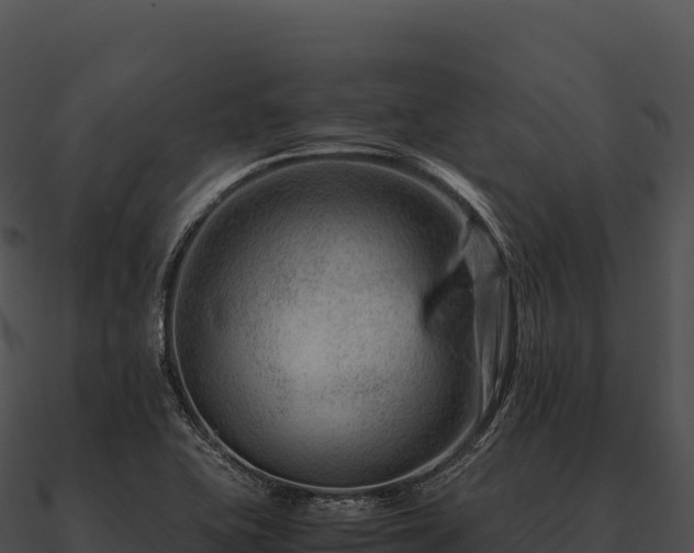 X0000090881415200708031021
