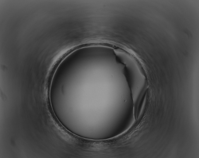 X0000090881416200708031021